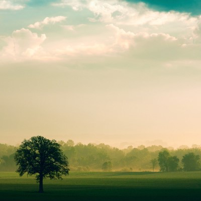 1920 x 1080 HD Wallpapers 2206